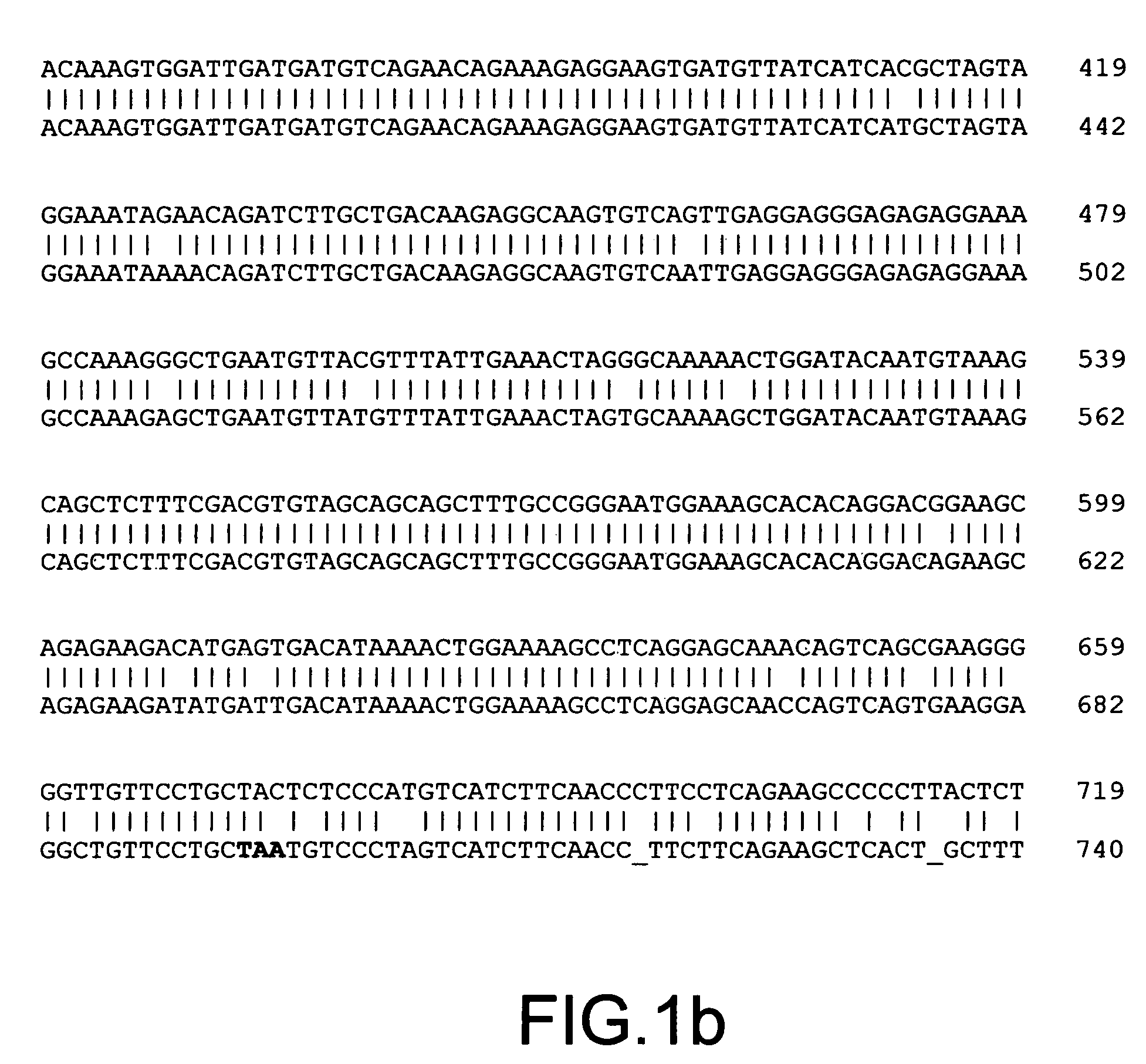 Identification of differentially methylated multiple drug resistance loci