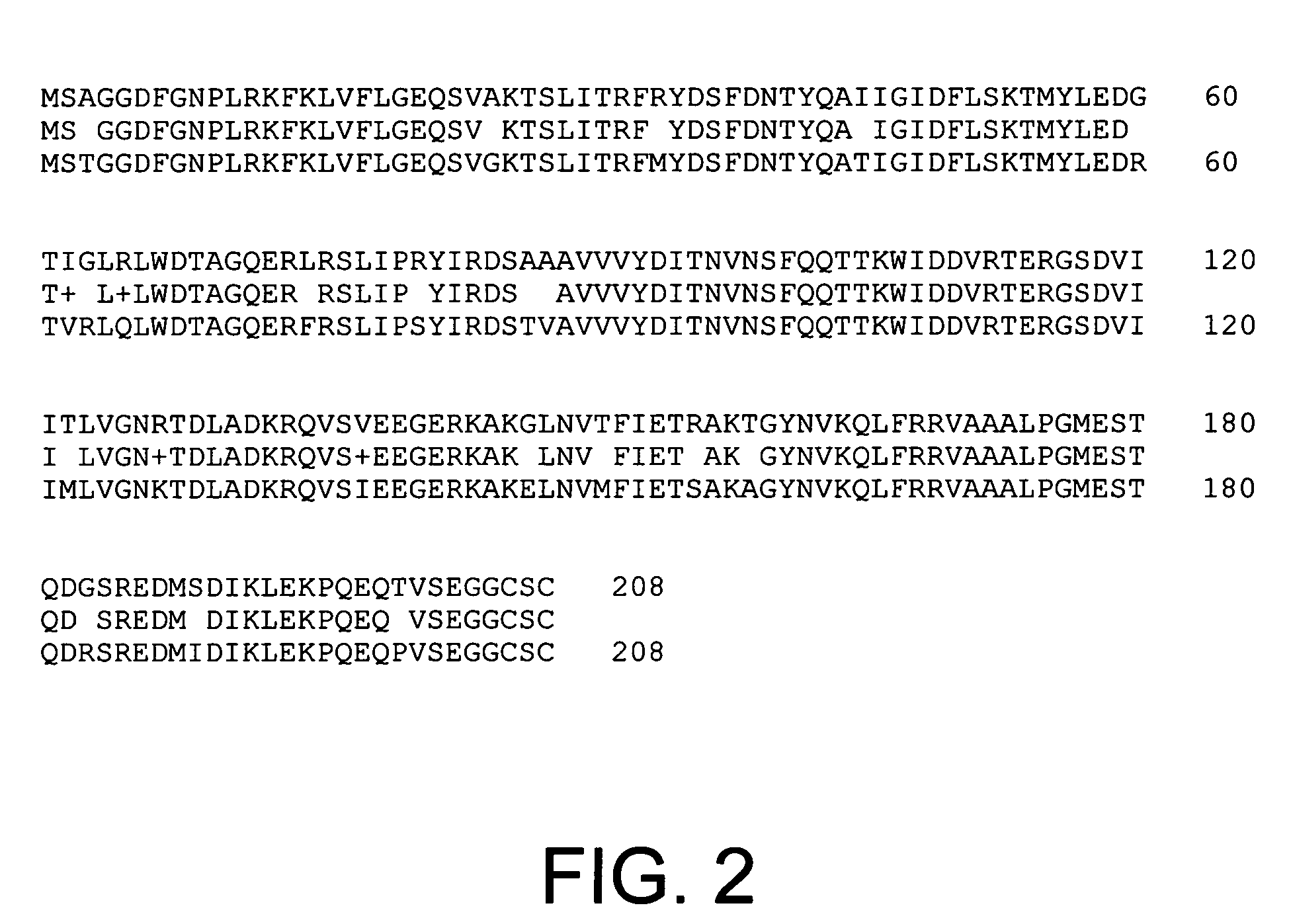 Identification of differentially methylated multiple drug resistance loci