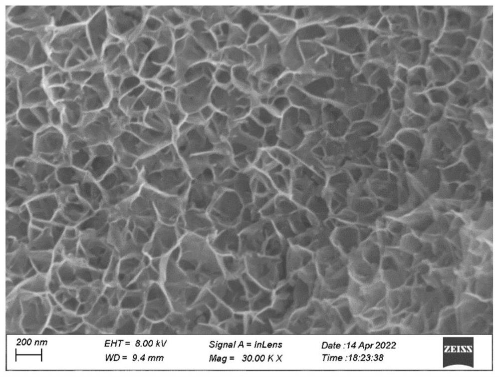 Heterojunction nano array electrode material and preparation method and application thereof