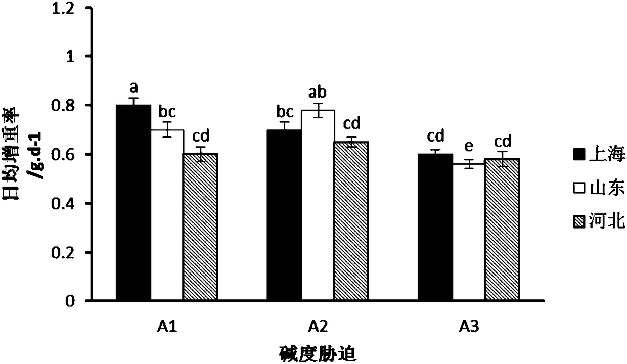 Method for selectively breeding excellent strains of saline-alkaline tolerant tilapia