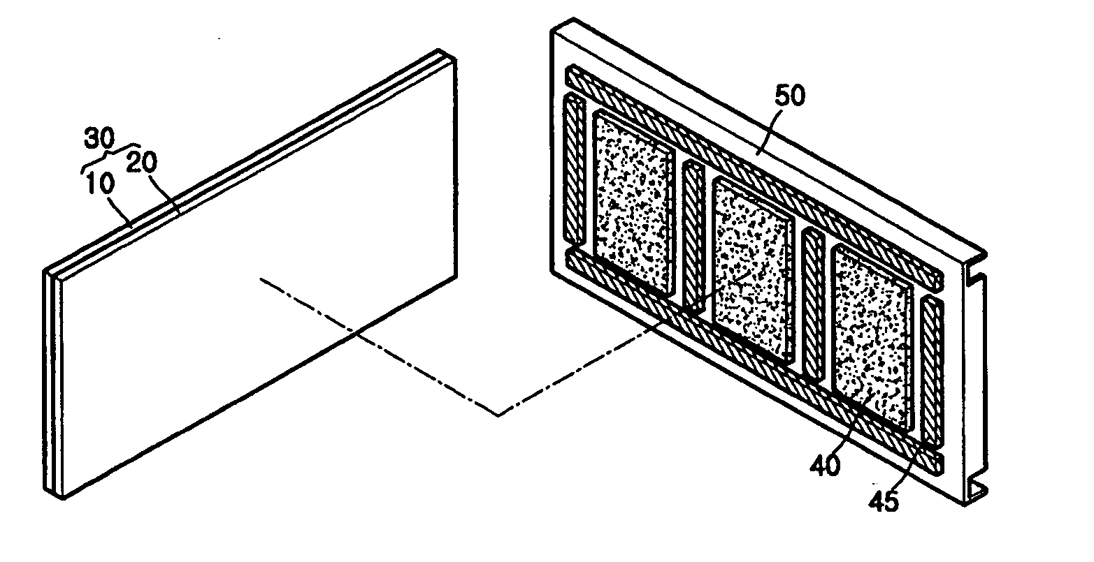 Plasma display module