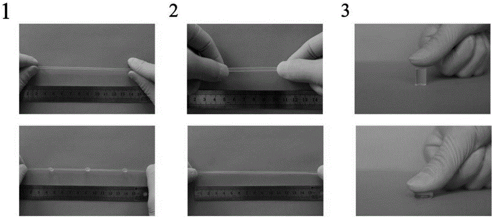 Application of high-strength acryloyl-glycinamide-based hydrogel as thermoplastic polymer