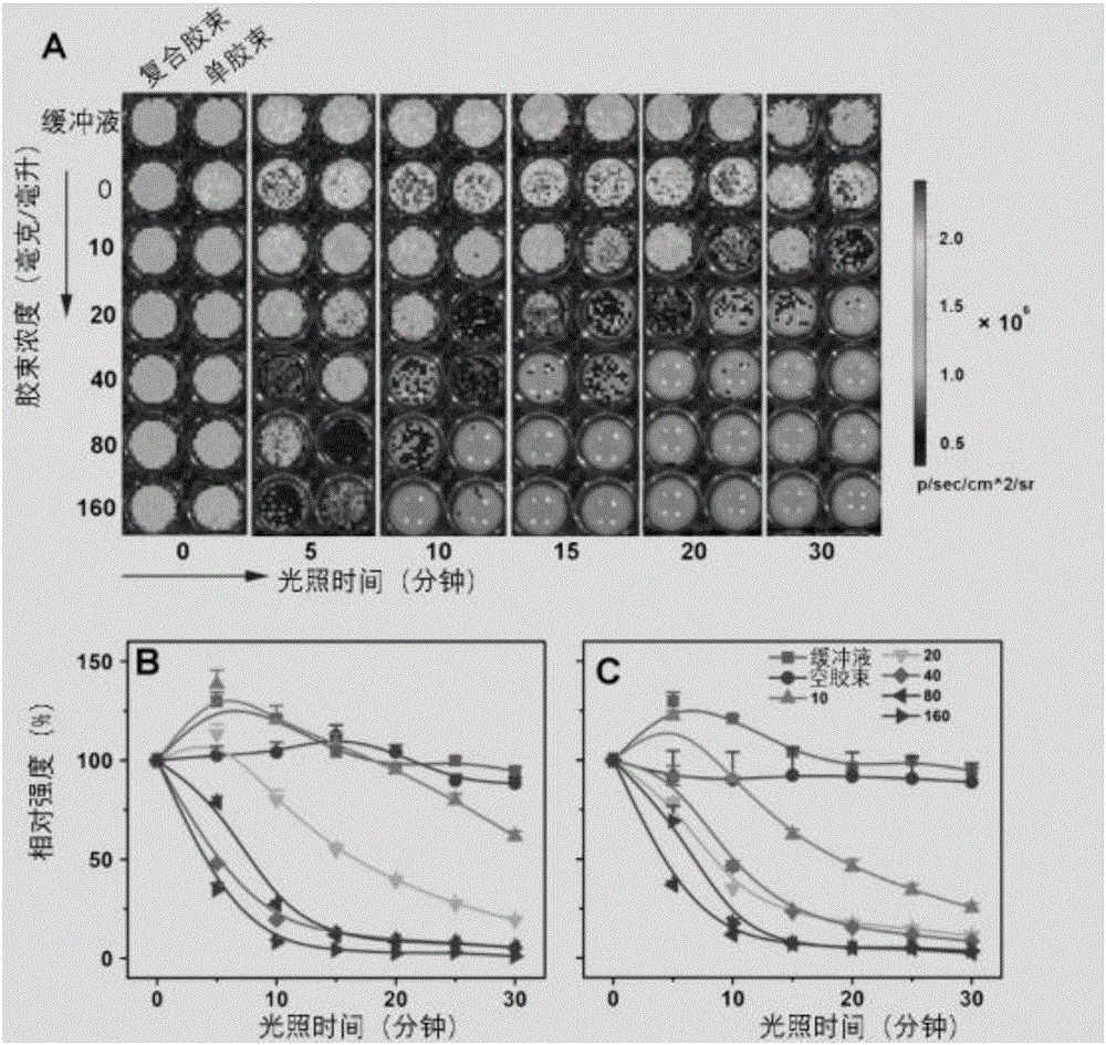 Preparation method of photosensitizer-supported polymeric micelle and application of micelle in killing of planktobacteria and bacterial biofilms