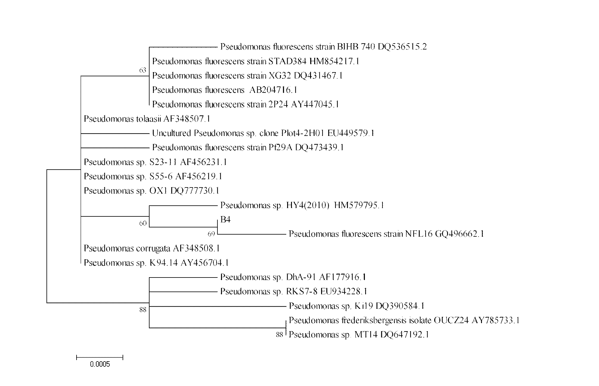 Polycyclic aromatic hydrocarbon degrading bacterium suitable for electric field condition and application thereof