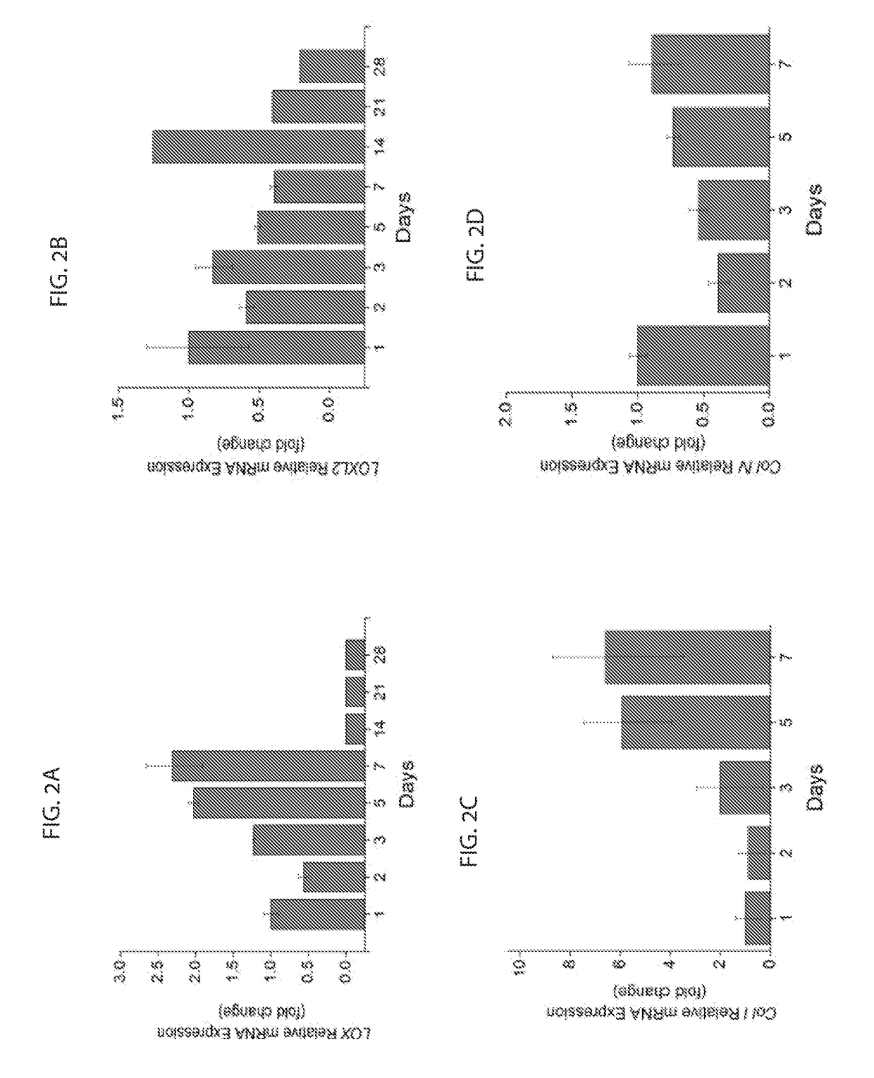 Antibodies targeted against loxl-2 for the treatment of collagen-associated pathologies