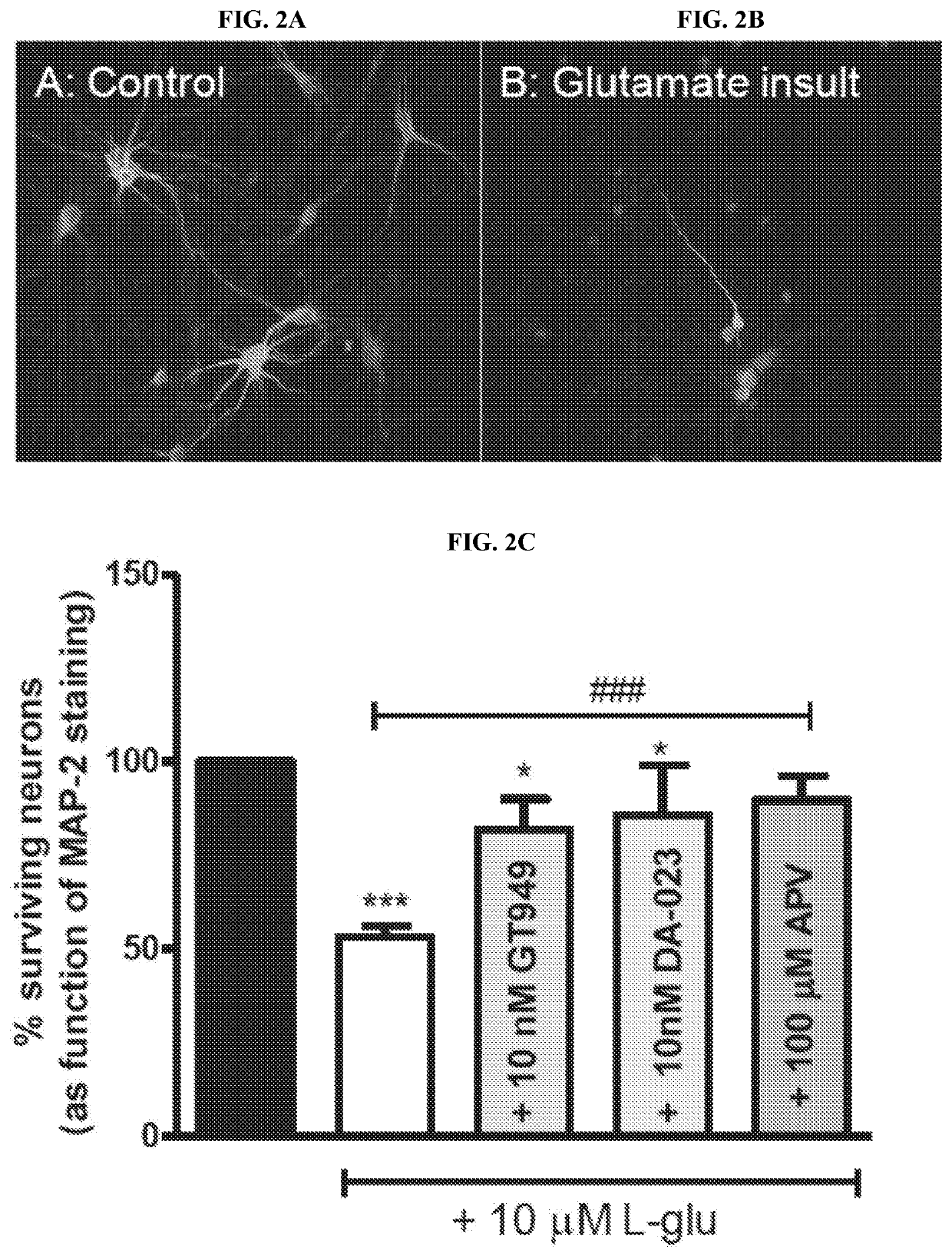 Modulators of Excitatory Amino Acid Transporters and Methods Using Same