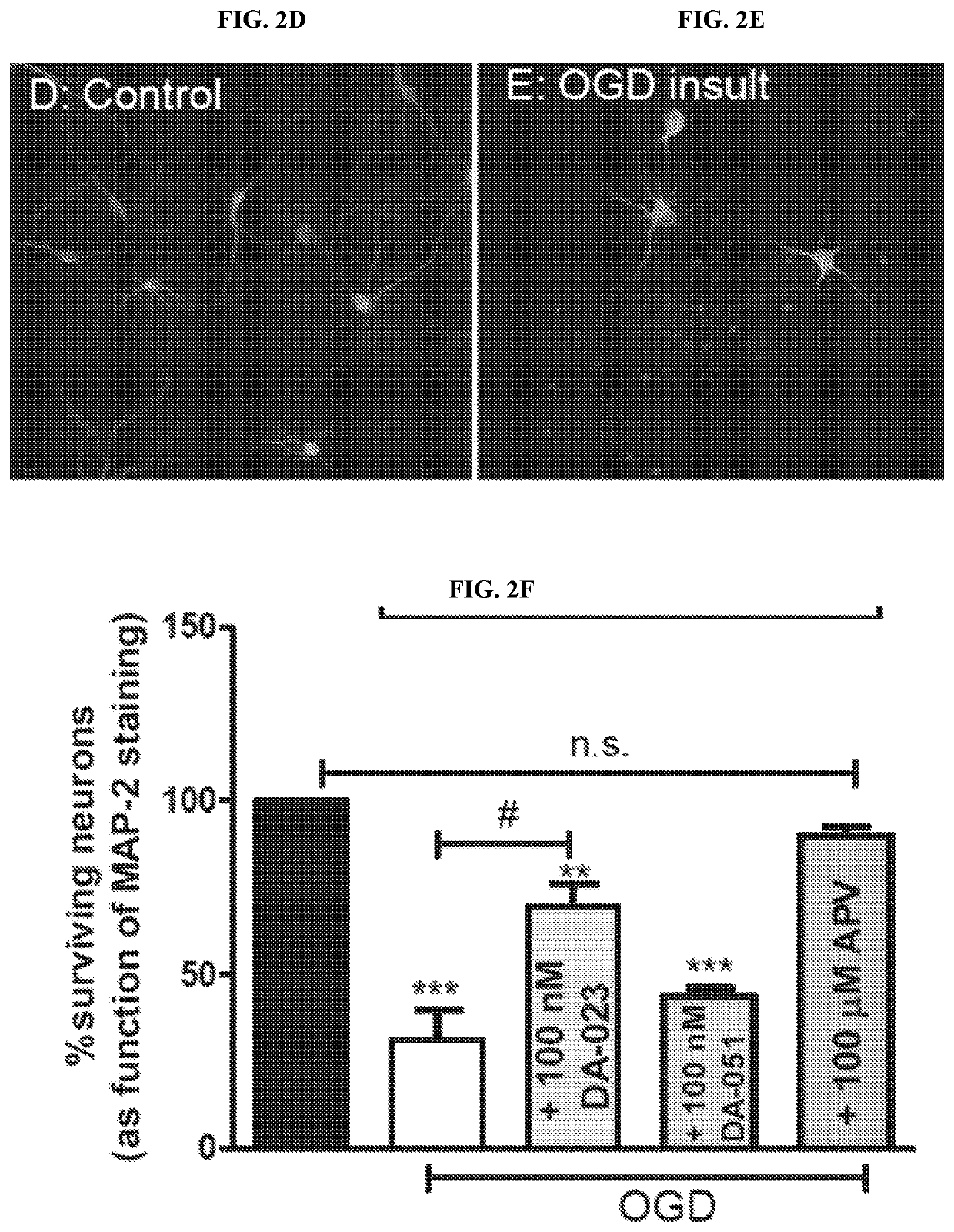 Modulators of Excitatory Amino Acid Transporters and Methods Using Same