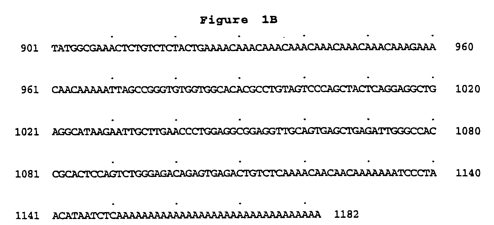 Peptidoglycan recognition proteins