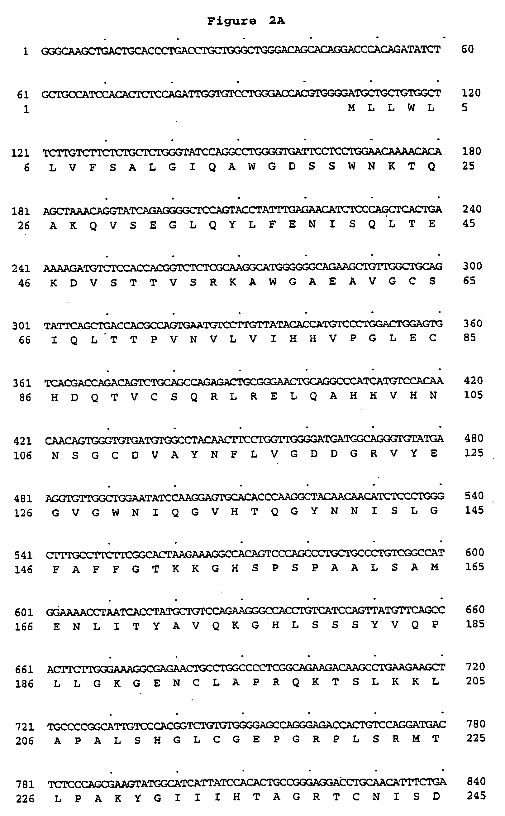 Peptidoglycan recognition proteins