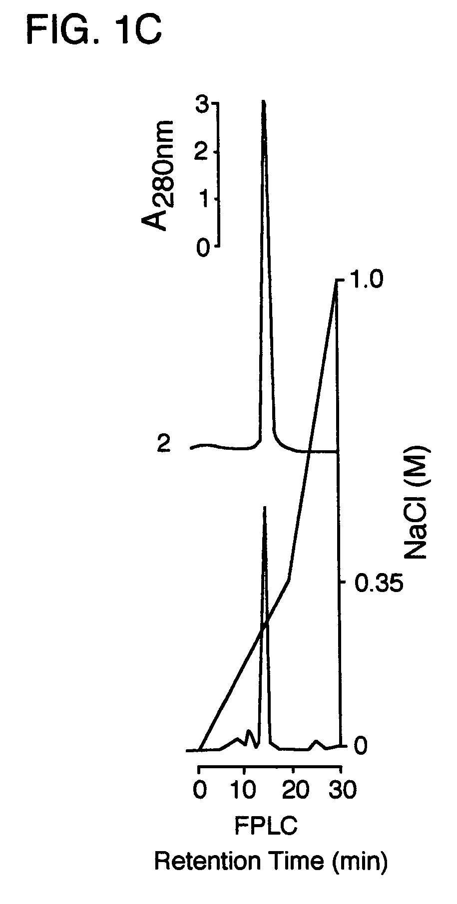 Recombinant human alpha-fetoprotein as an immunosuppressive agent