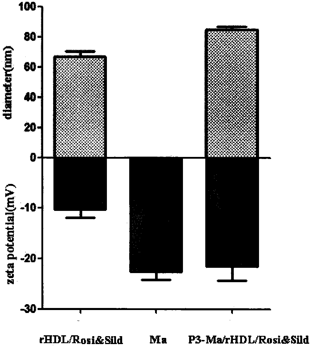 Preparation and application of cytomembrane biomimic lipoprotein targeted nanometer drug delivery system