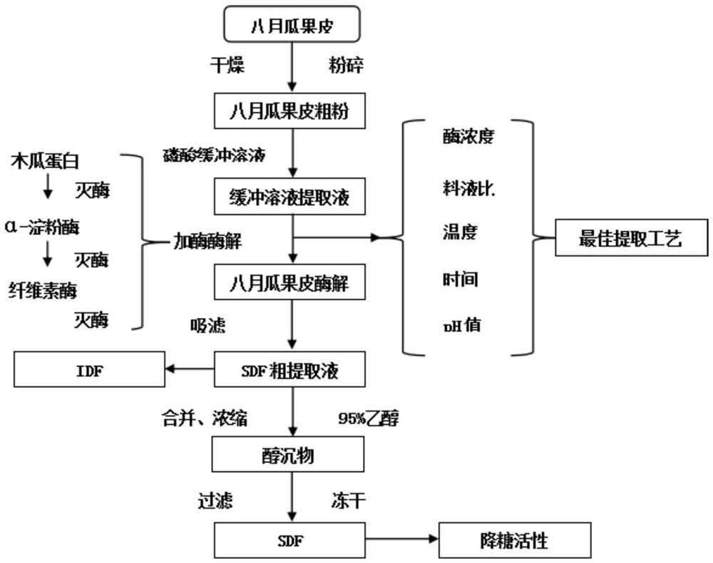 Extraction process and application of stauntonia latifolia pericarp soluble dietary fibers with blood glucose reducing function