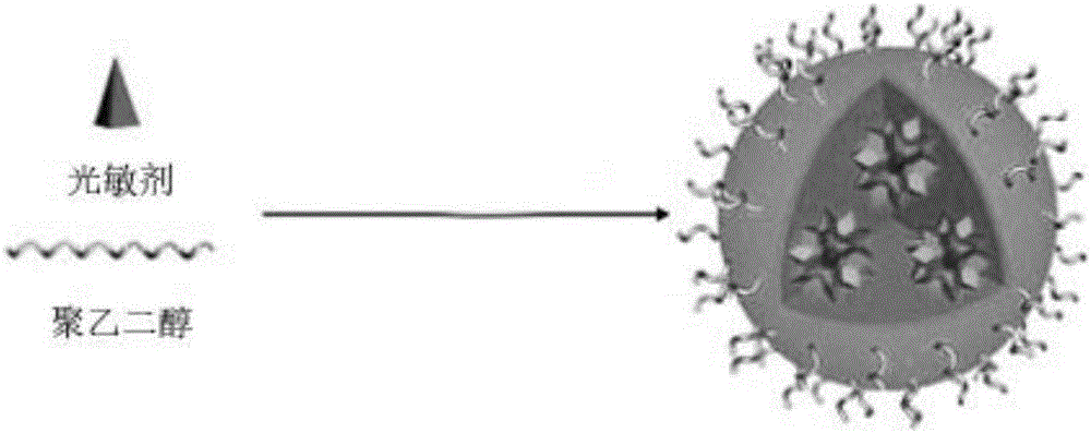 Method for testing photodynamic therapy assisted by operative treatment on mouse mammary tumor cell