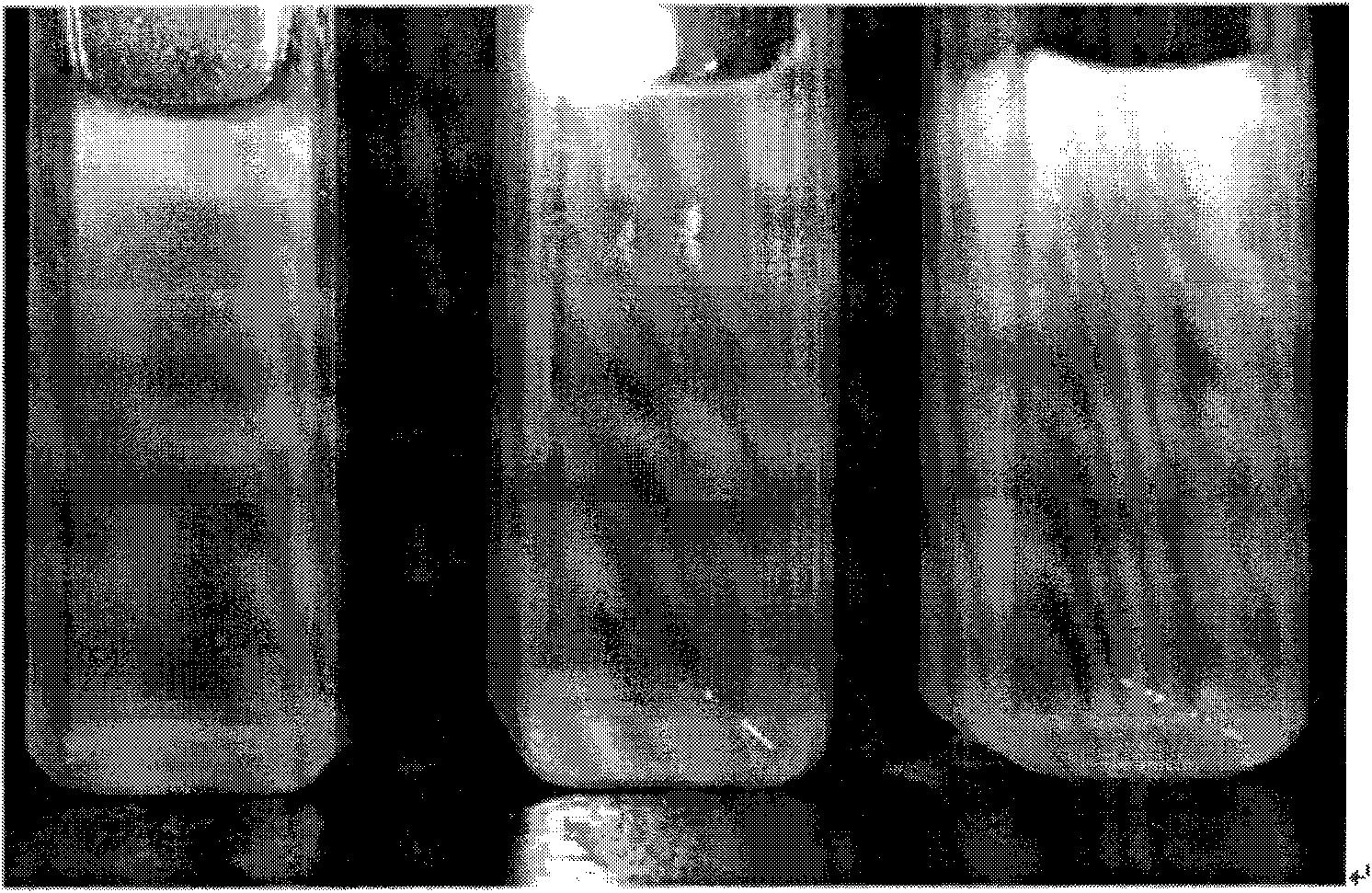 Preparation method of ZnSe-to-Cu quantum point