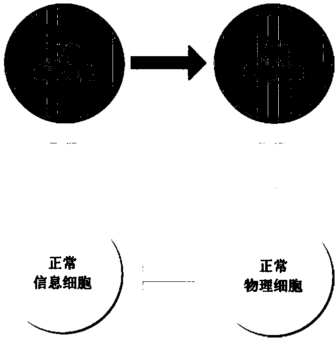 Establishment method for cascading failure analysis model of power CPS (Cyber Physical System) based on cellular automaton