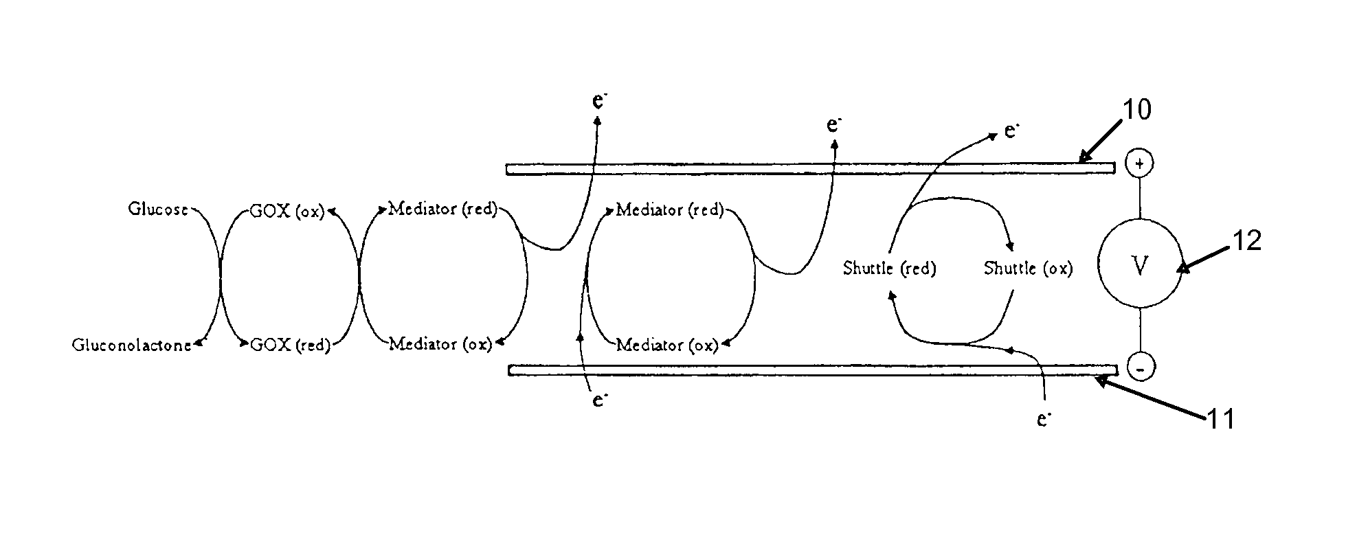 Detection of Analytes in a Dual-mediator Electrochemical Test Strip