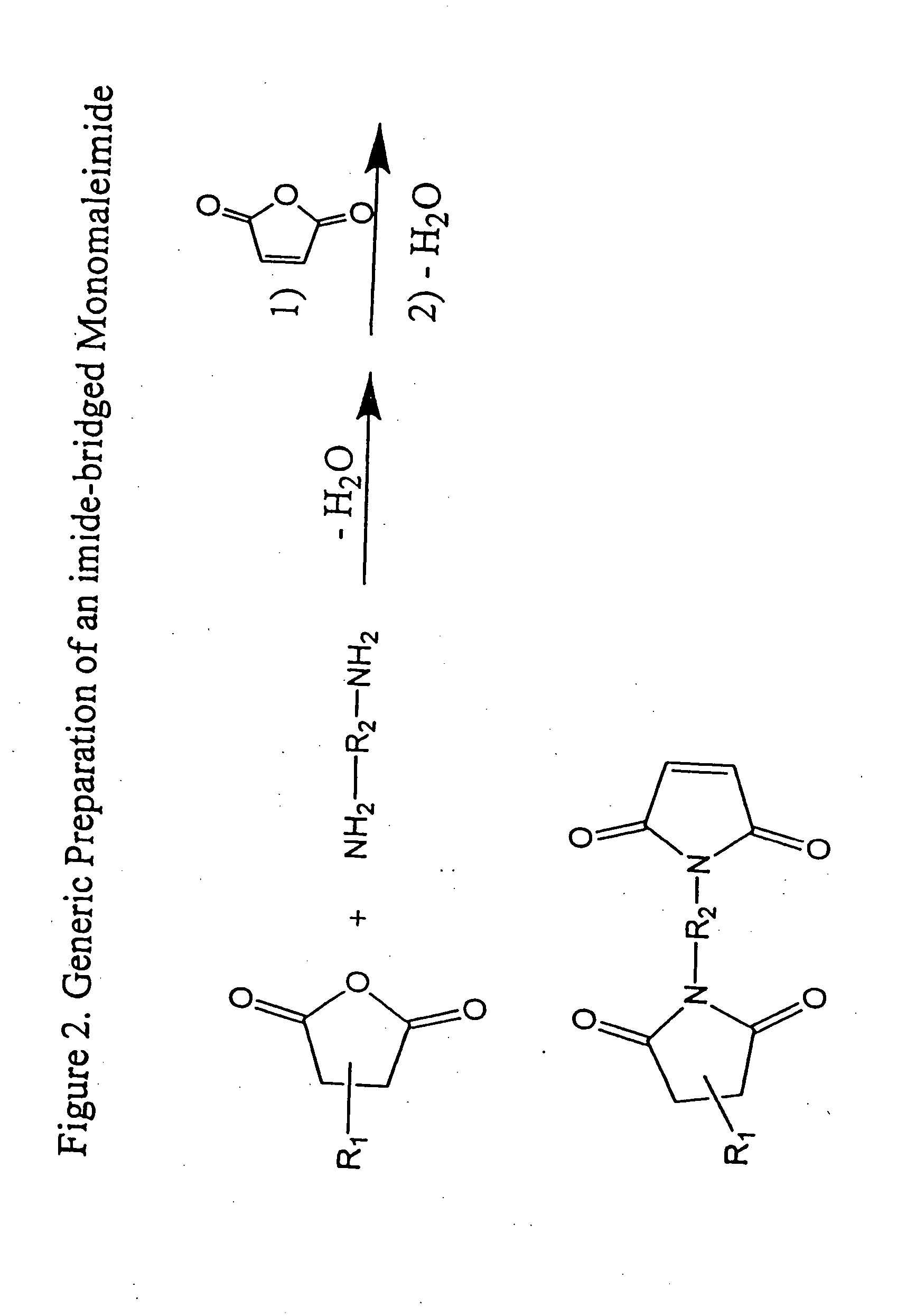 Imide-linked maleimide and polymaleimide compounds