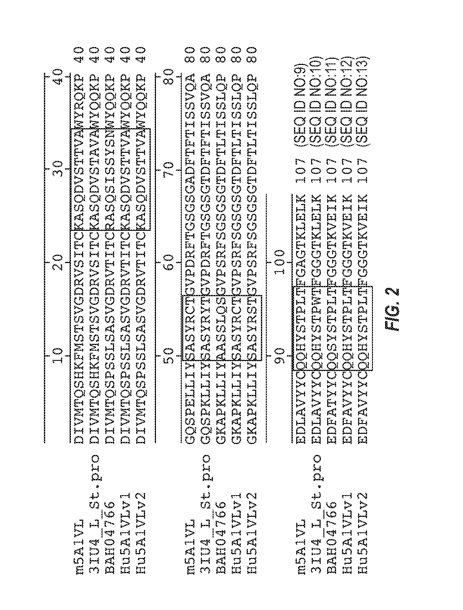 Anti-transthyretin antibodies