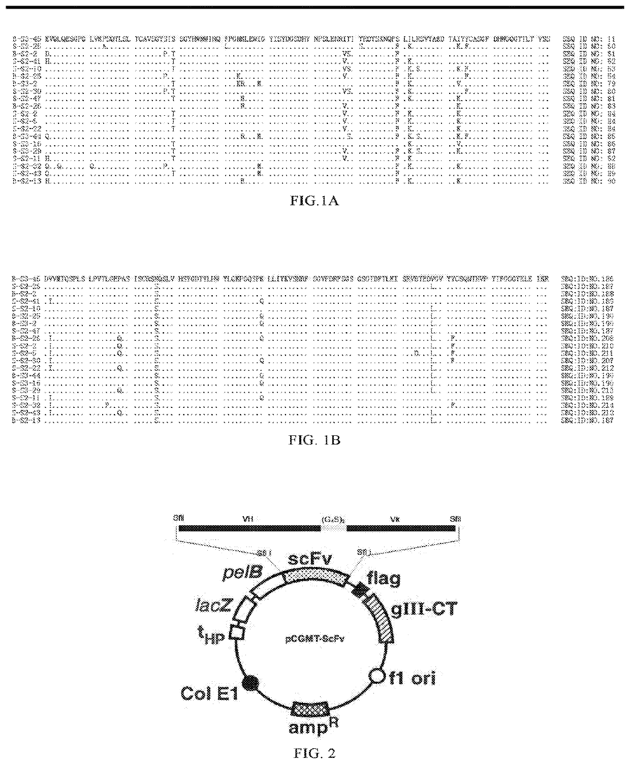 Antibody against hepatitis B surface antigen and use thereof