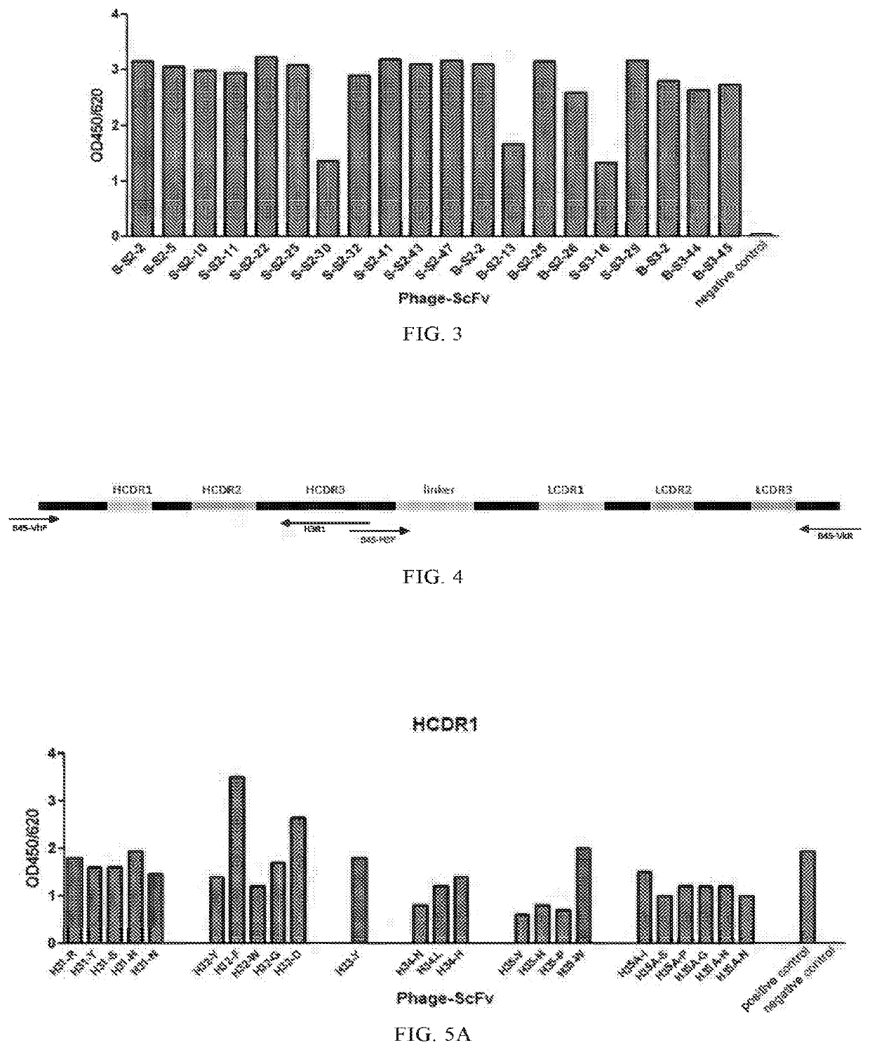 Antibody against hepatitis B surface antigen and use thereof