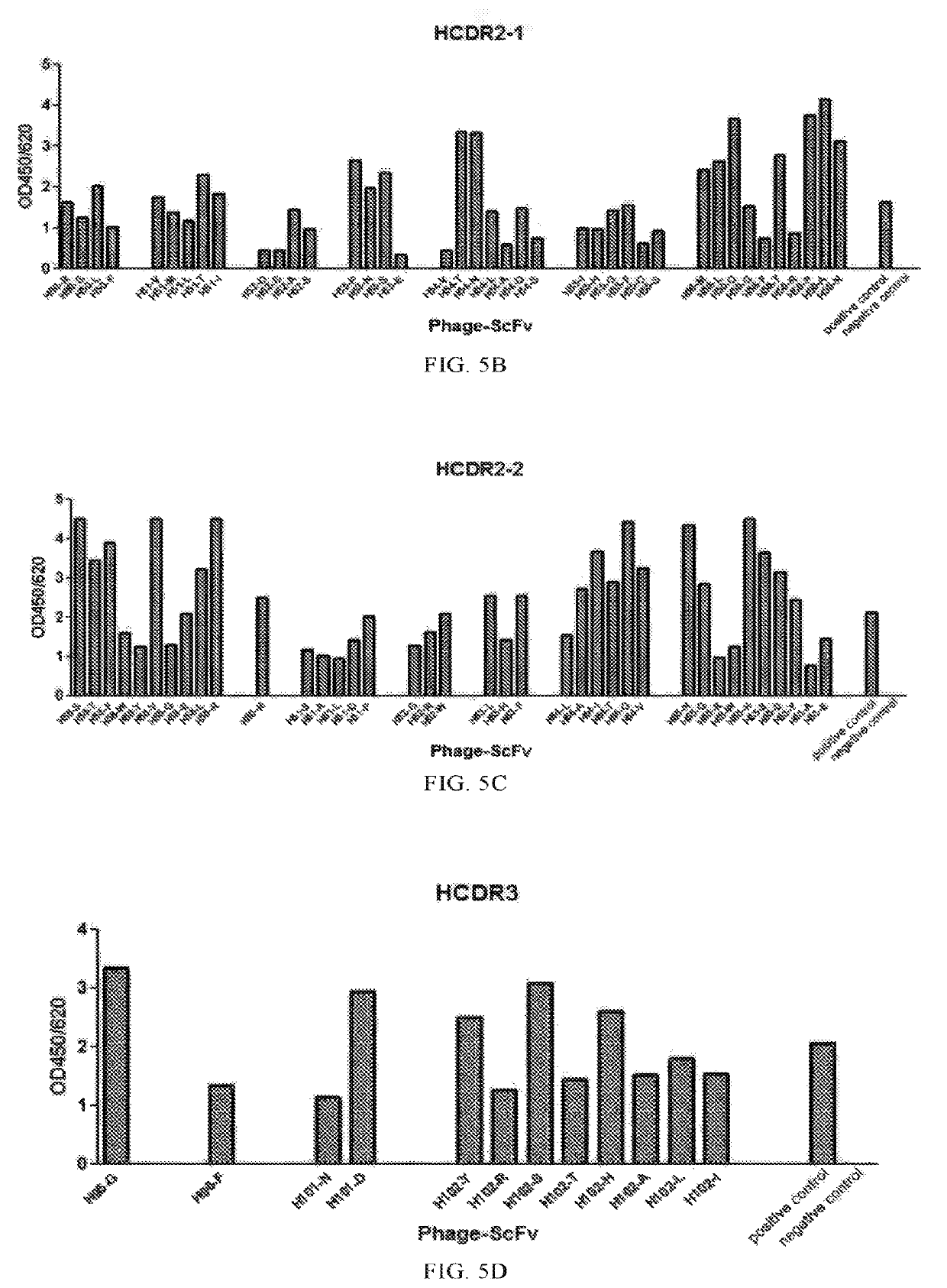 Antibody against hepatitis B surface antigen and use thereof