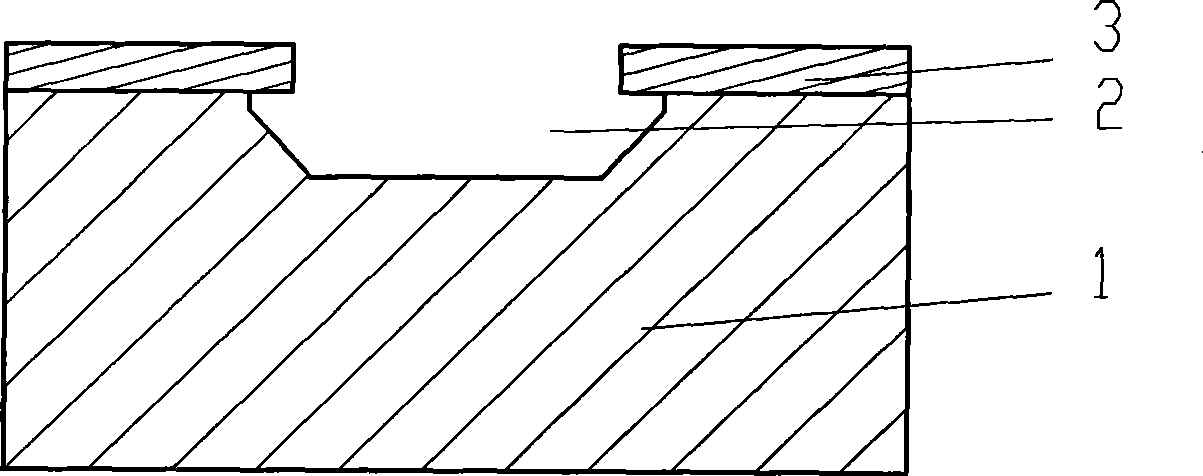 Single-slice integrated micro-lens and its production method