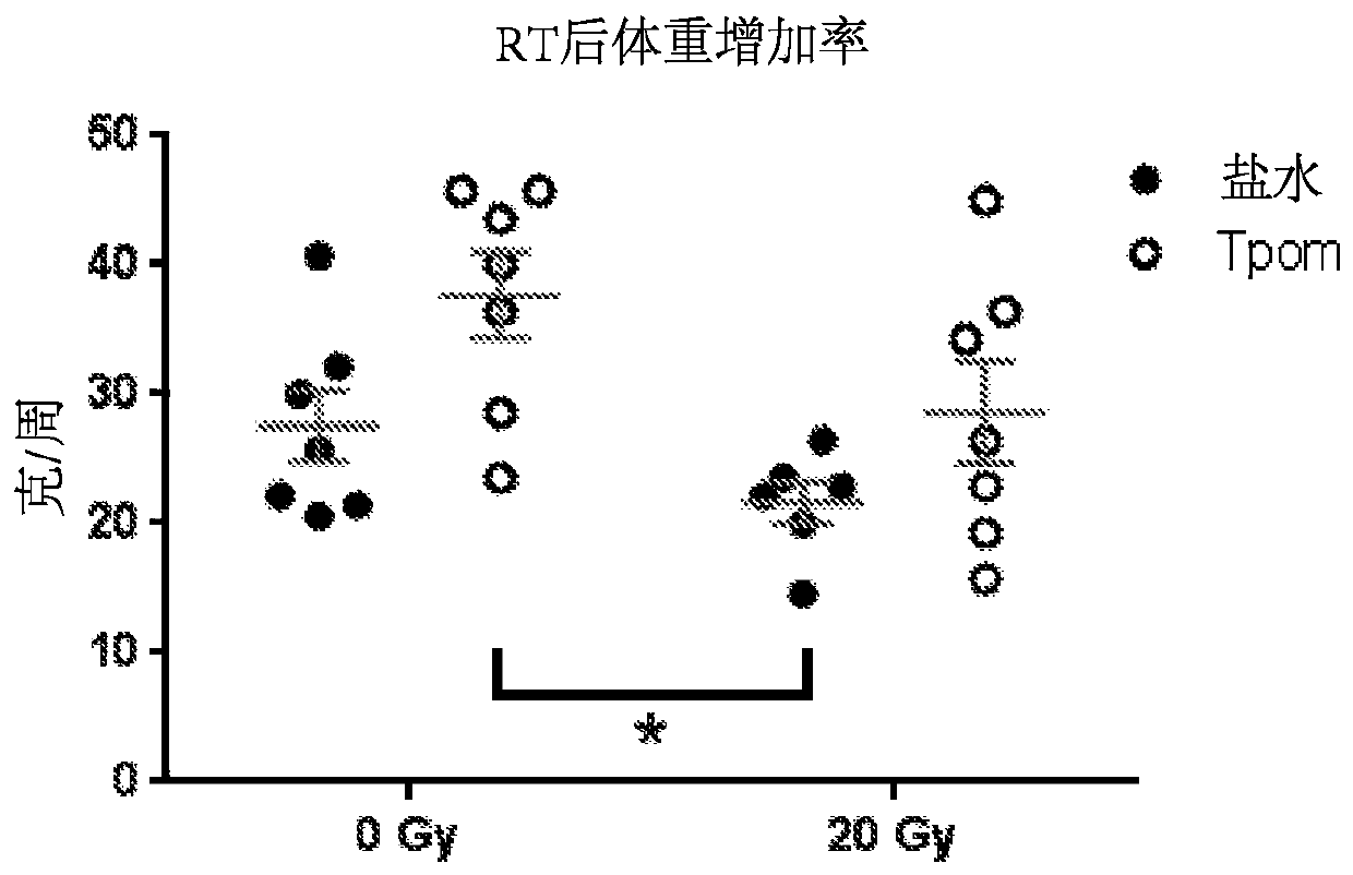 Methods of protecting vascular integrity induced by targeted radiation therapy