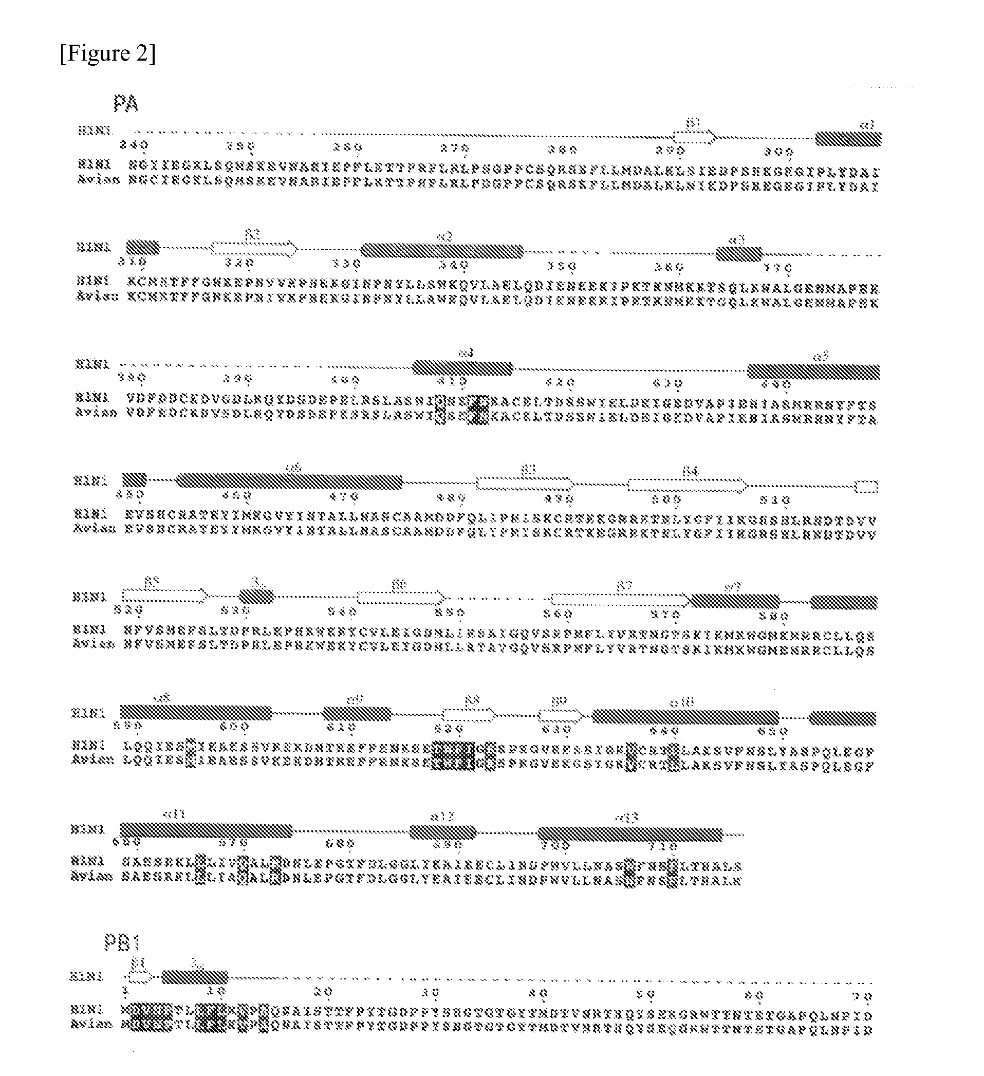 Construction of expression system for RNA polymerase derived from influenza virus, crystallization of the RNA polymerase, and screening method for Anti-influenza agent