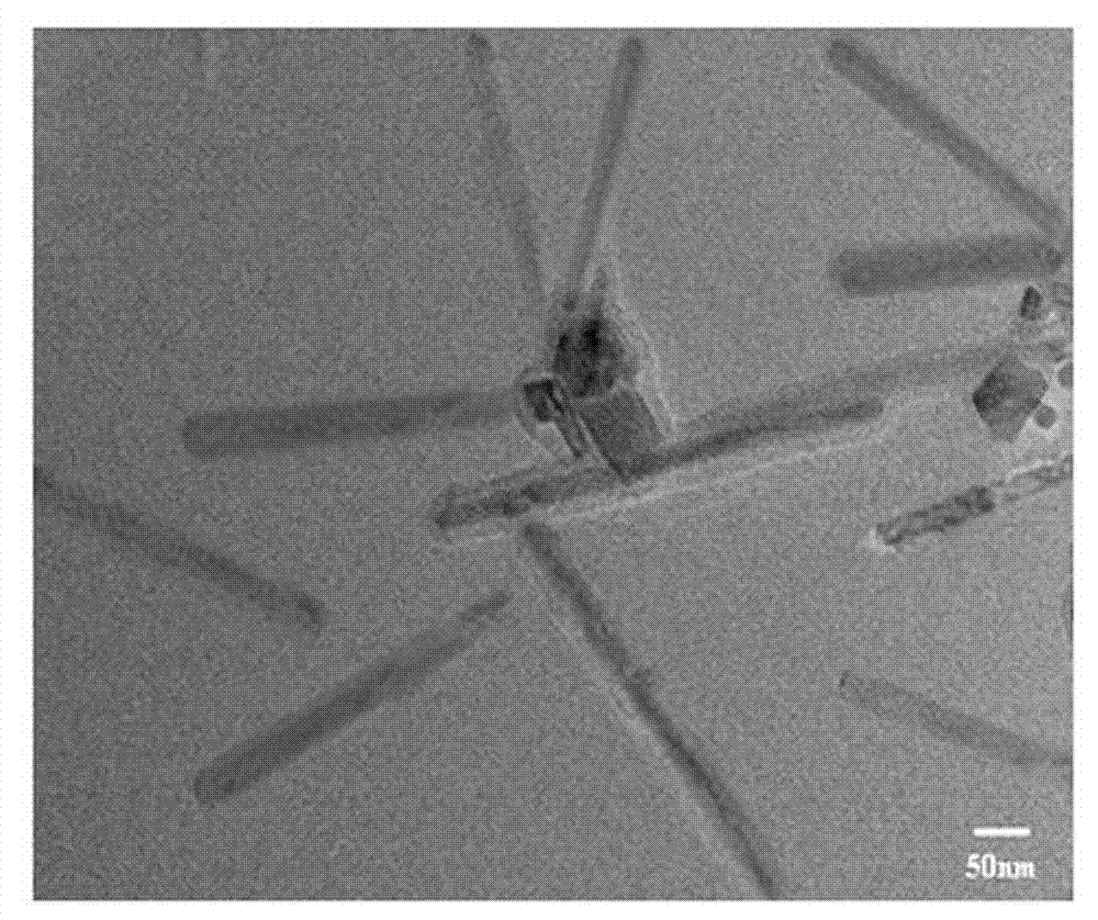 Method for preparing Fe3O4 nanorods in gradient magnetic field