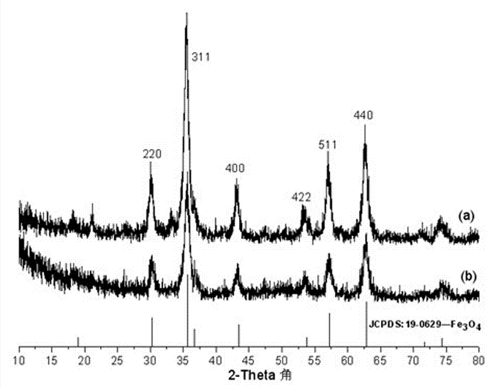 Method for preparing Fe3O4 nanorods in gradient magnetic field