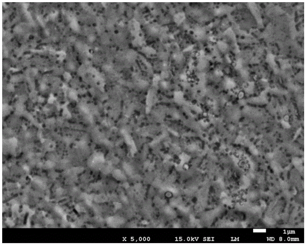 Method for conducting composite surface modification on pure titanium