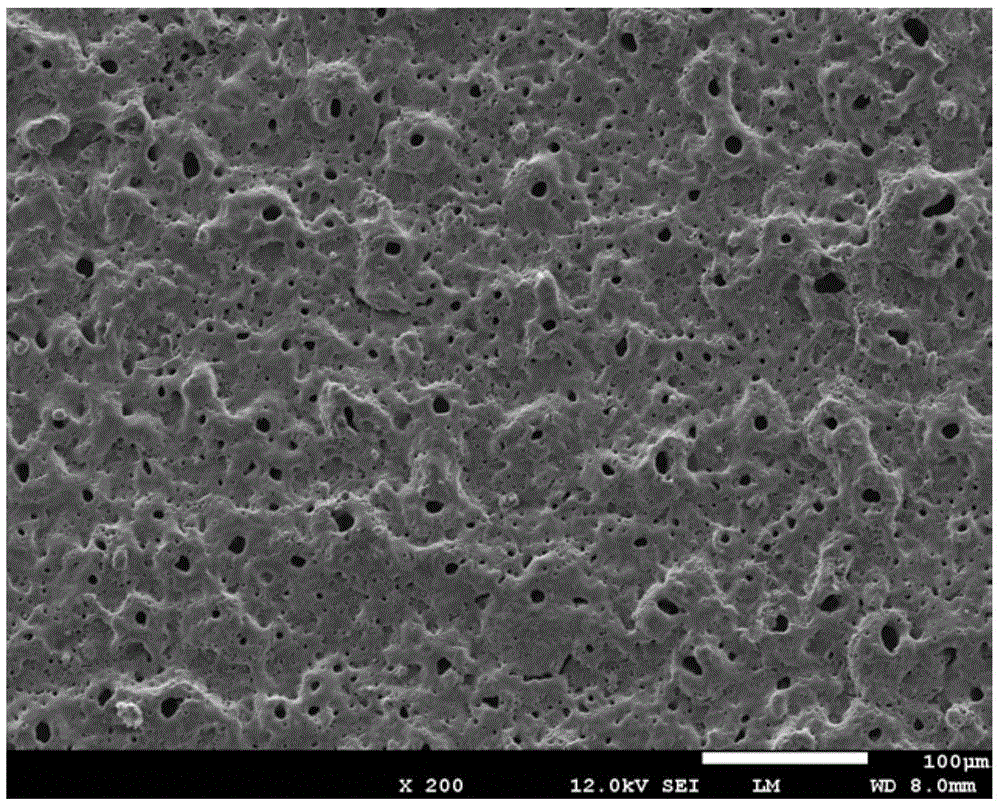 Method for conducting composite surface modification on pure titanium