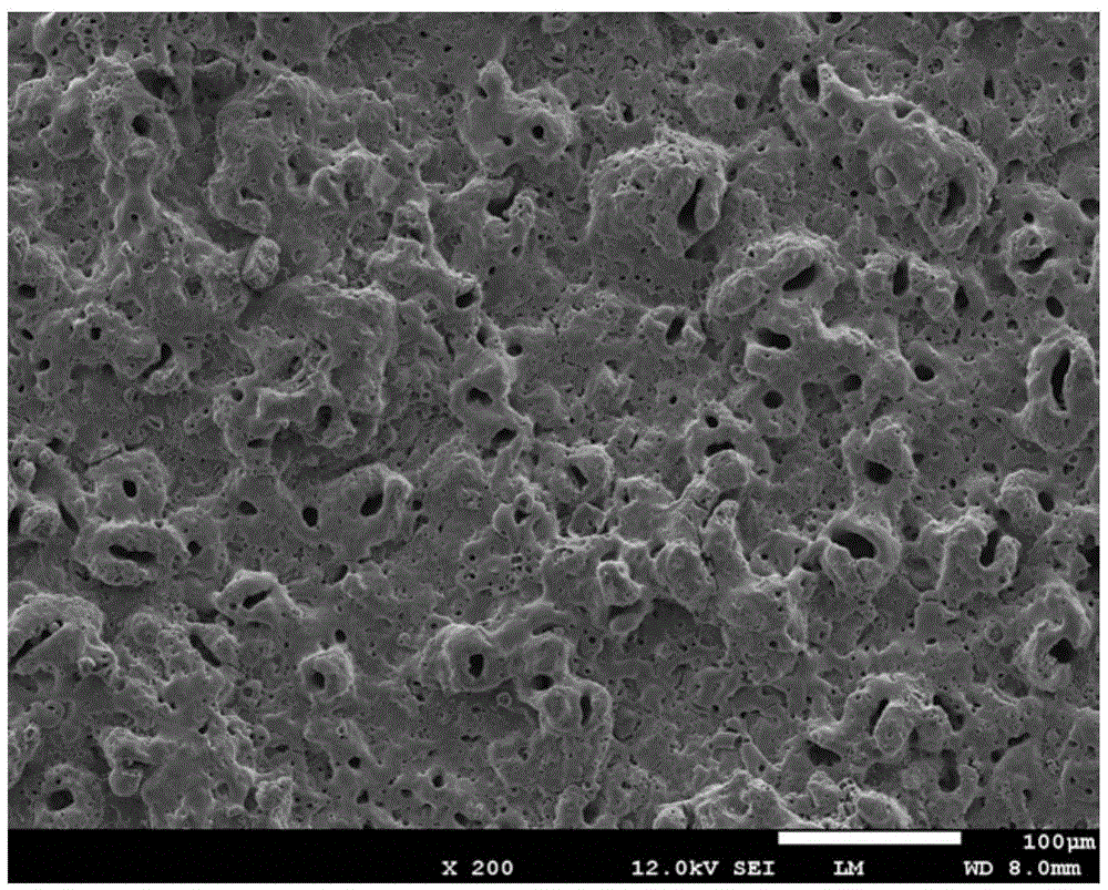 Method for conducting composite surface modification on pure titanium