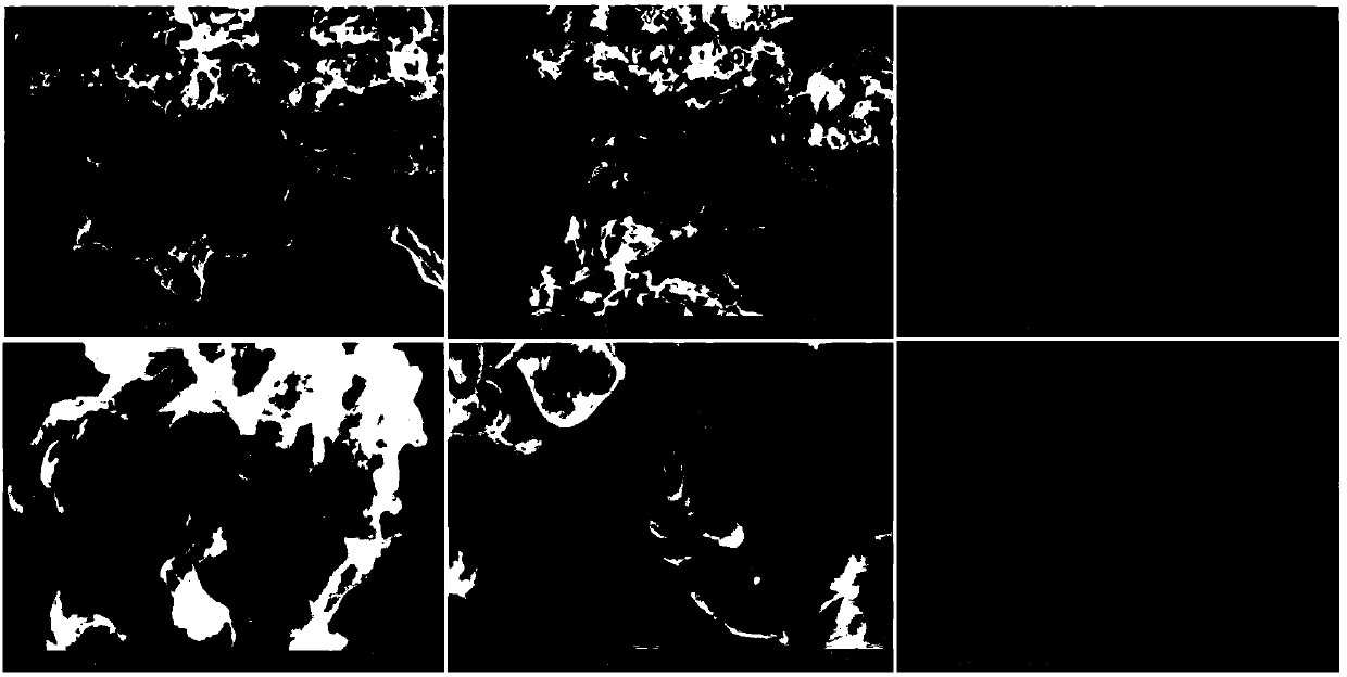 Preparation method and application of novel silver-nanoparticle modified ultrathin graphite phase carbon nitride catalyst