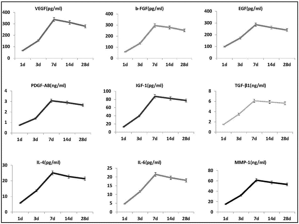 Amplification culture method for cloning adipose mesenchymal stem cells