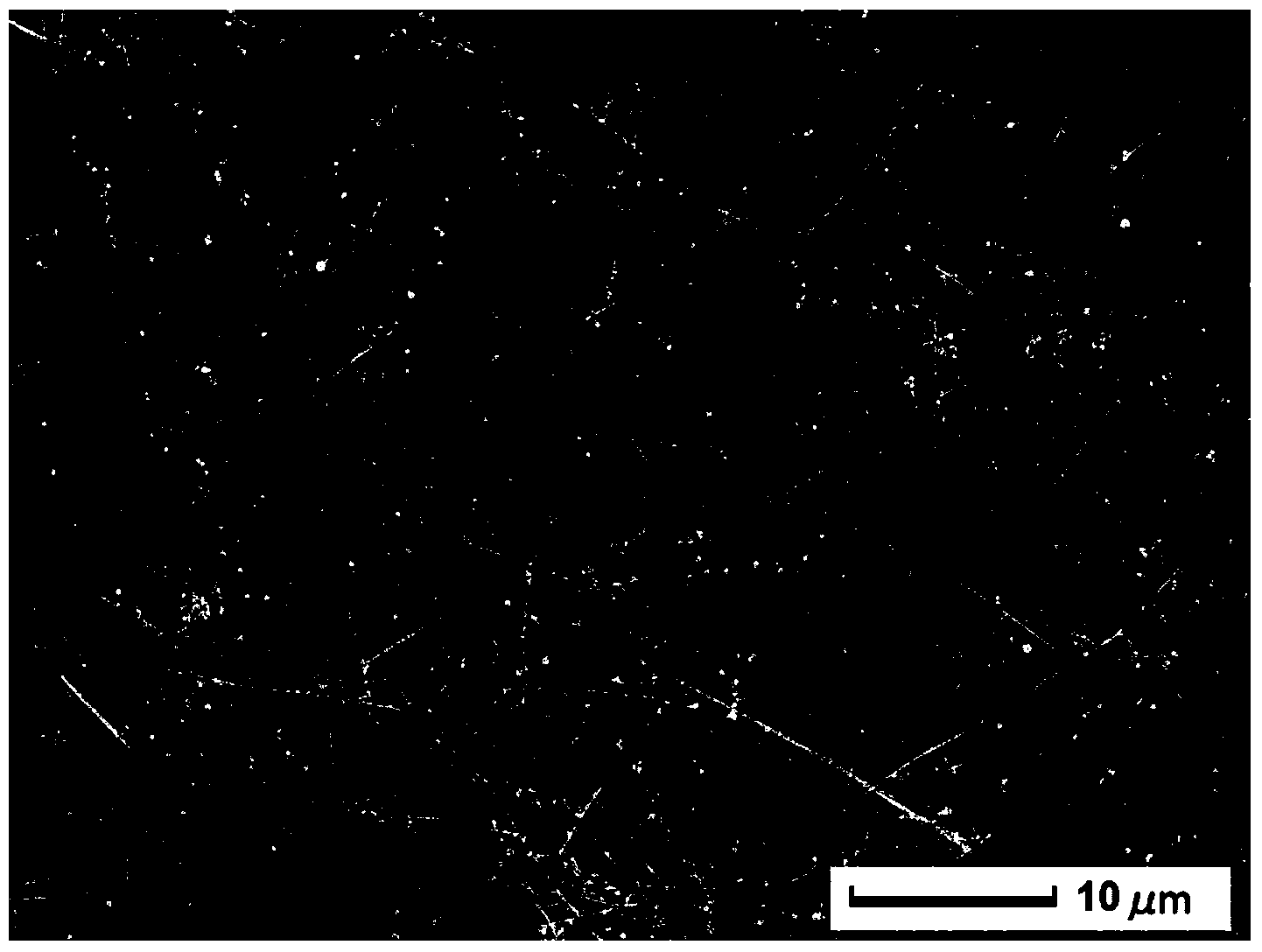 Metal nanowire/carbon nanotube composite transparent conducting film and preparation method thereof