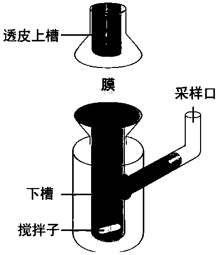 Cell infiltration enhancing peptide, composition and application of composition