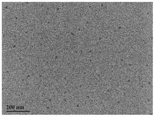 Green fluorescent carbon quantum dot for detecting pH of acid environment and preparation method thereof