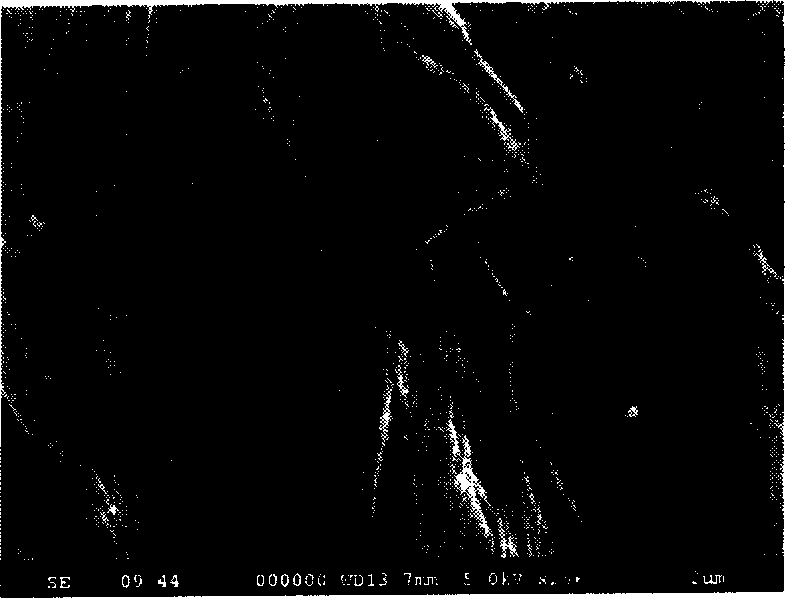 Method for synthesizing magnetic metallic oxide Nano wire in high length-diameter ratio