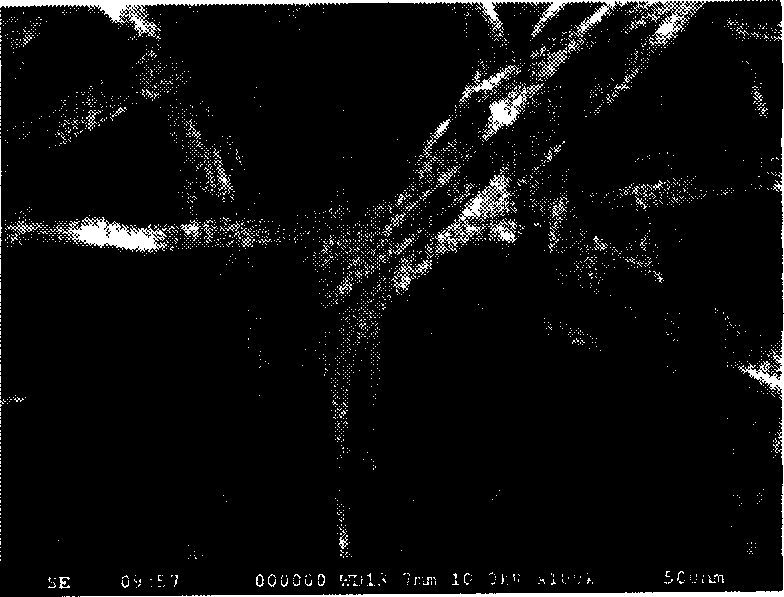 Method for synthesizing magnetic metallic oxide Nano wire in high length-diameter ratio