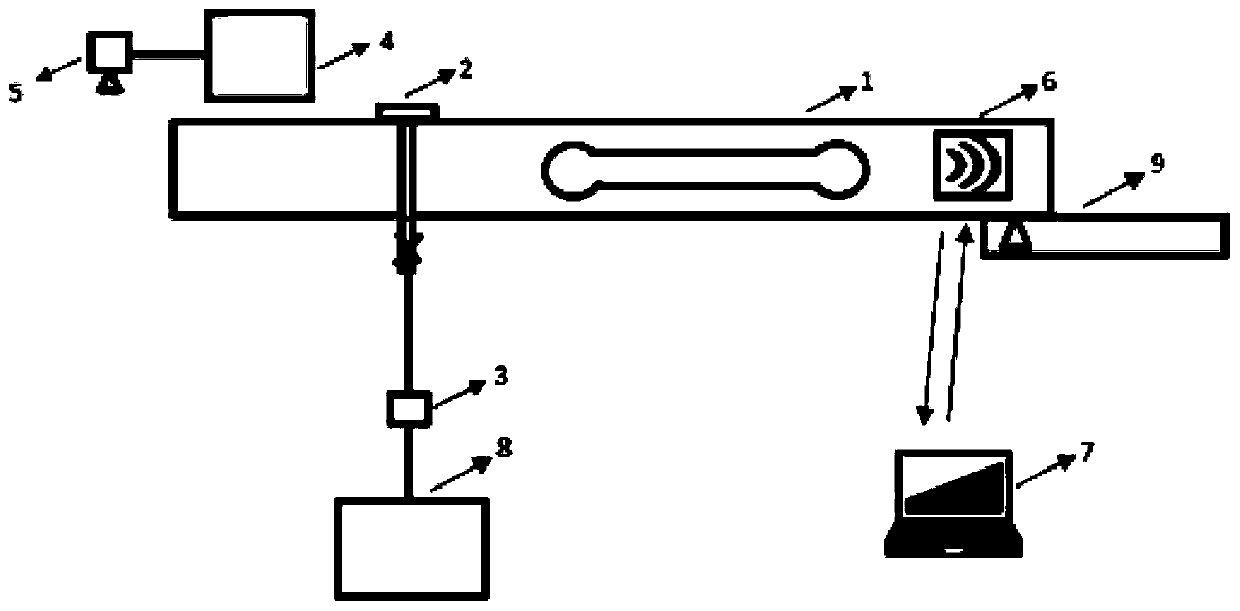 A device for monitoring coral growth rate in seawater and its measurement method