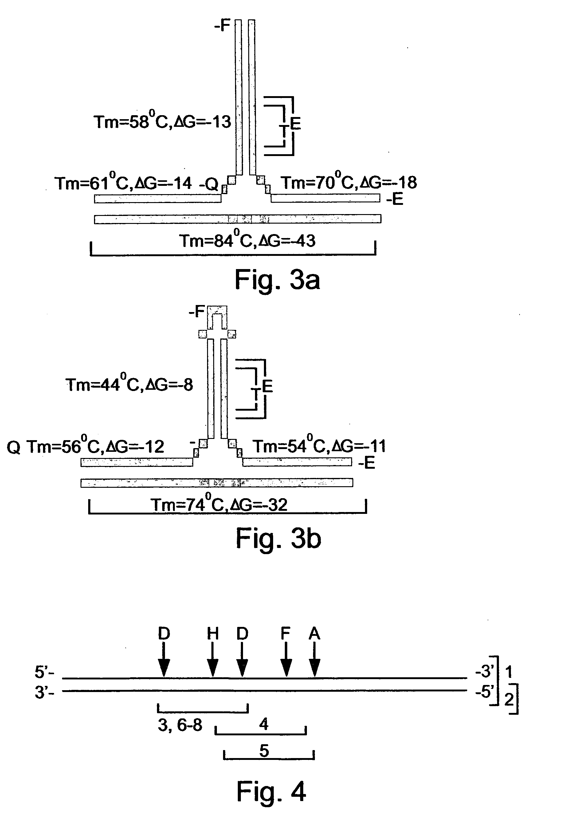 Oligonucleotides and assemblies thereof useful in the detection of the presence or absence of target nucleic acid sequences in a sample