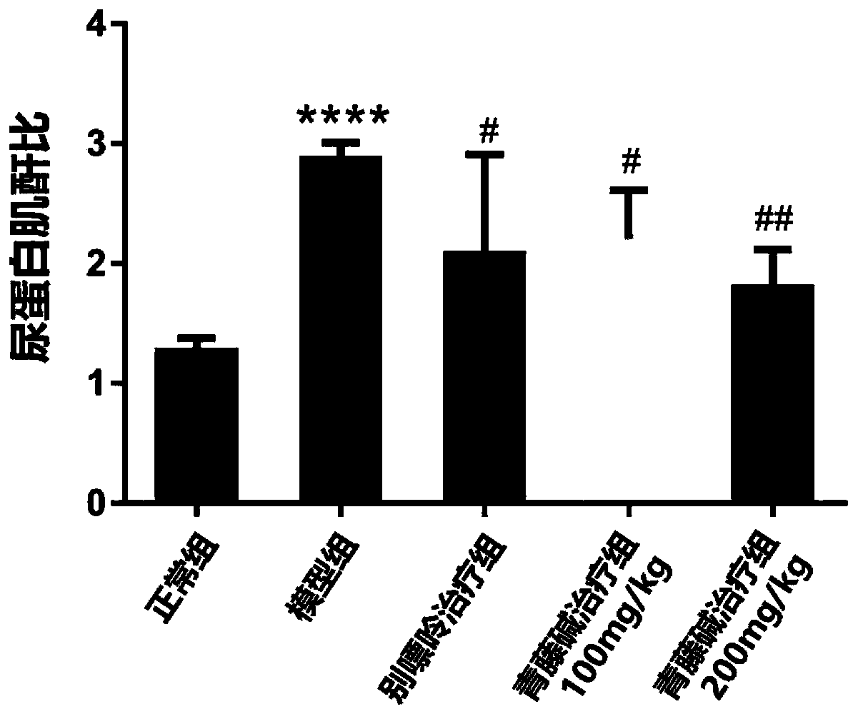 Purpose of kukoline or salt thereof to preparation of medicines for reducing blood uric acid level and preventing and treating uric acid type nephropathy