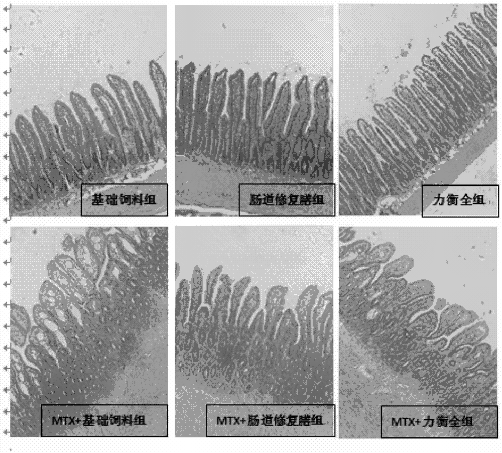 A kind of nutritional diet beneficial to intestinal repair and preparation method thereof