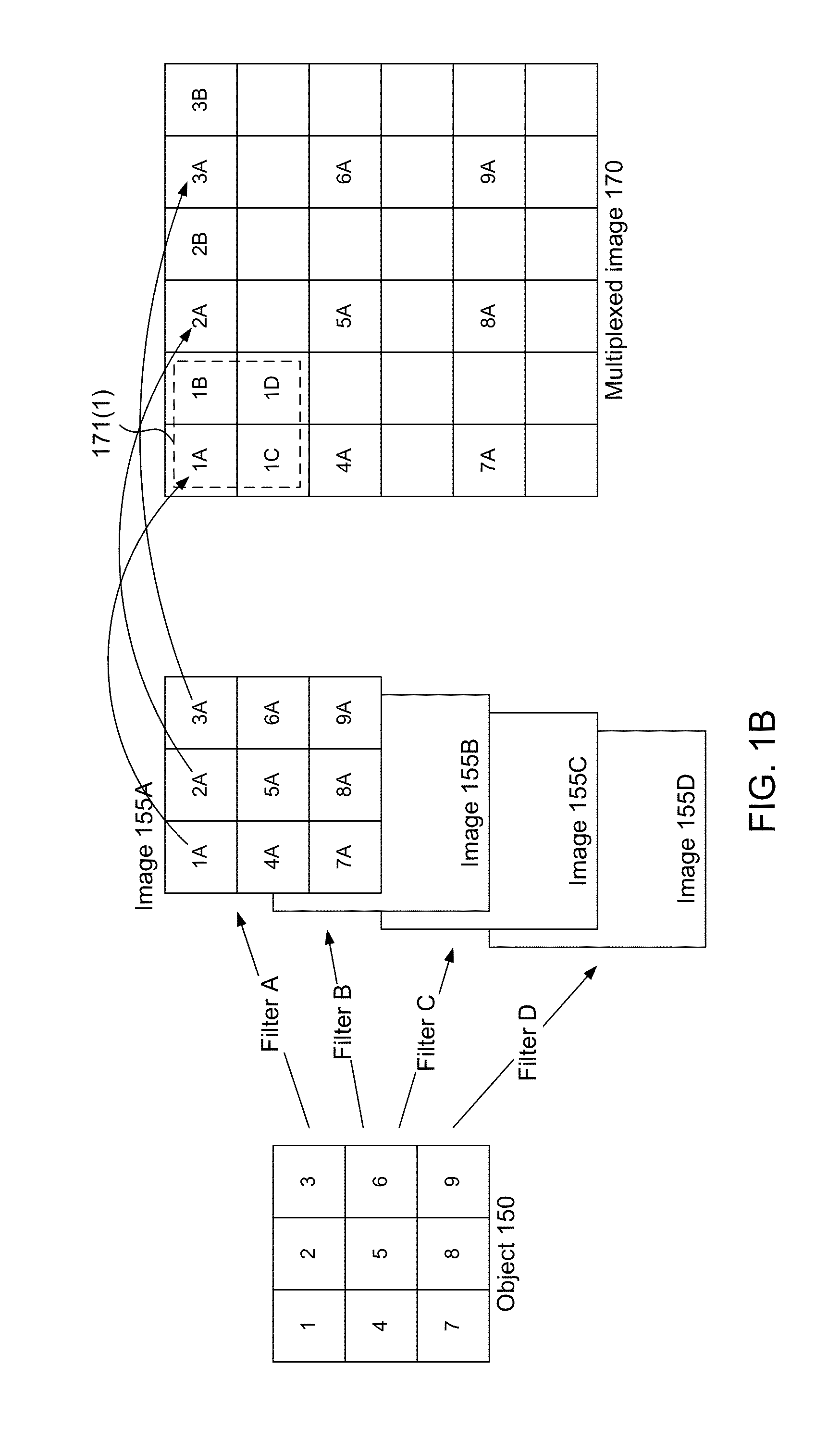 Color filter modules for plenoptic xyz imaging systems