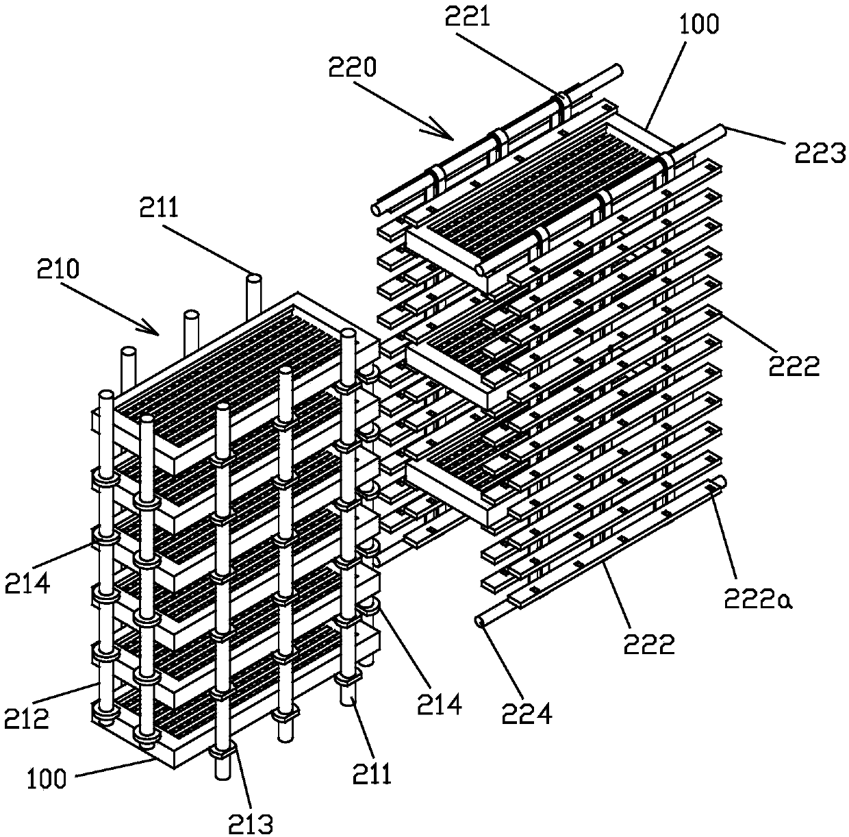 Preliminary processing technology of osmunda japonica