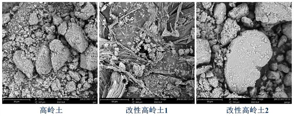 The method of chitosan modified clay and its application of algae removal technology