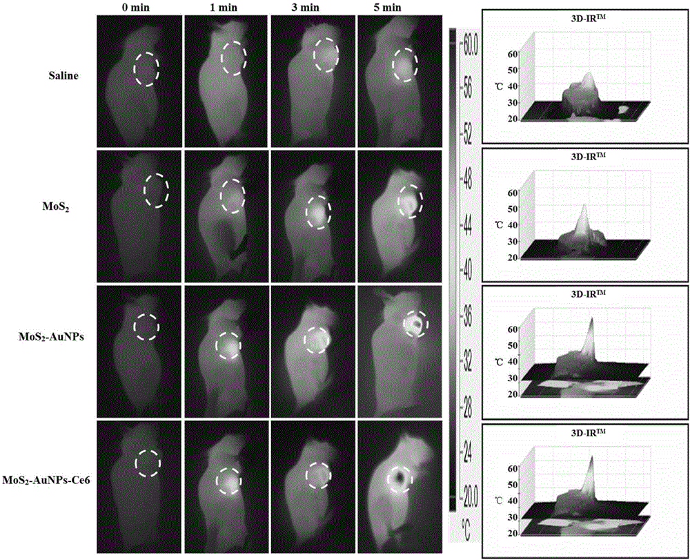 Multifunctional nanometer hybrid integrated CT imaging and phototherapy and preparing method of multifunctional nanometer hybrid