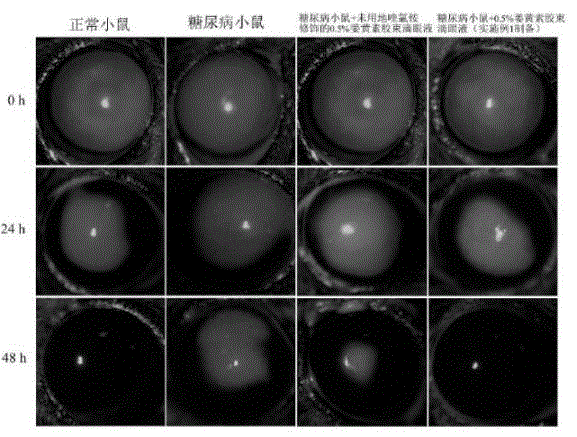 Curcumin micelle eye drop and preparation method thereof