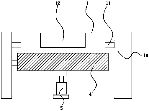 Tanning device for production of leather